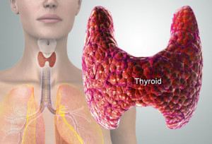 How to Treat Low Thyroid Hormone Naturally