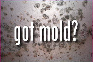 Mold and Fungal Infections